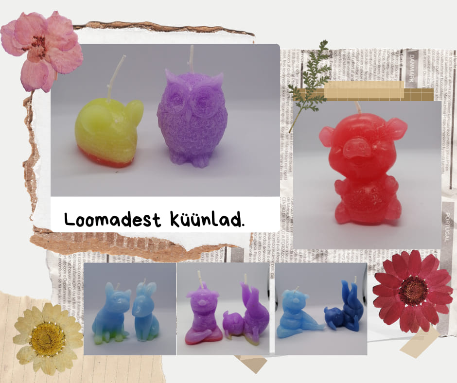 kuunlad loomadest.jpg